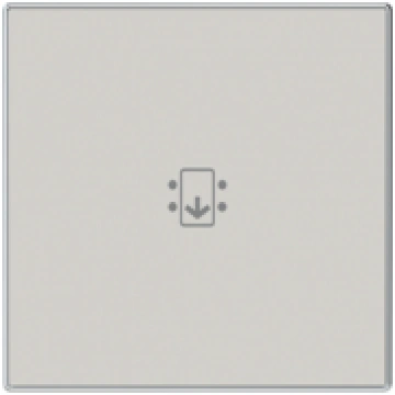 Rocker Symbol "key/door" for Switch/push button Ho