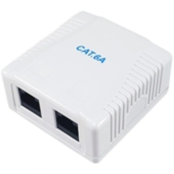 Equip 2-Port Cat.6A Surface Mount Box 235216