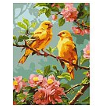 Komplekts gleznošanai pēc numuriem, "Spring canari