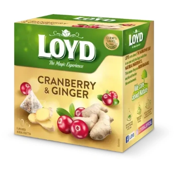 Loyd Fruit tea Pyramids with cranberry and ginger 