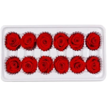 Abaodam Bonboniere Hochzeit 1 Box konservierte Blu