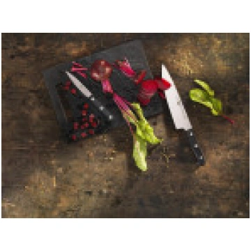 Zwilling Gourmet desu nazis [do] 36110-161-0