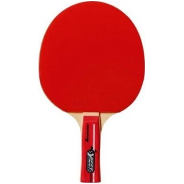 Best Sporting Paletka do tenisa stoowego poziom Tr