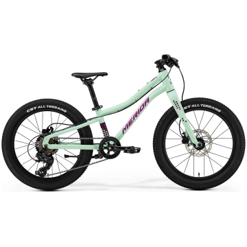 Velosipēds Merida Matts J.20+ I3 matt mint(purple/