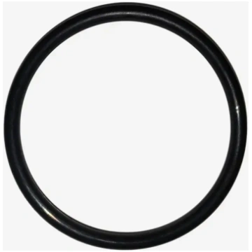 Leifheit O-Ring for Nemo vacuum window cleaner 108