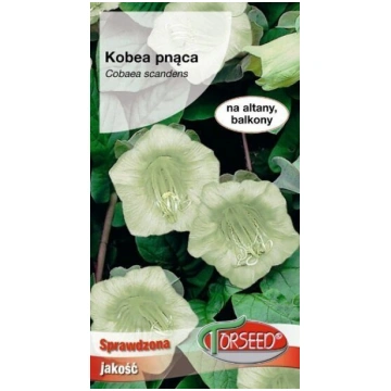 Kobejas baltas 0.8 g Torseed A.P