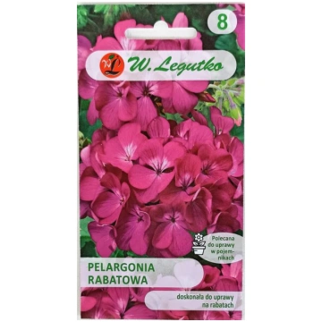 Pelargonijas dārza rozā W. Legutko