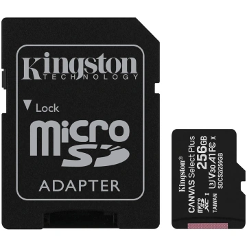 Kingston Canvas Select Plus SDCS2/256GB Scheda Mic
