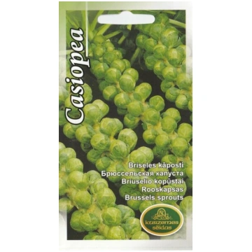Briseles kāposti Casiopea Kurzemes sēklas