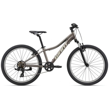 Bērnu kalnu velosipēds Giant XTC Jr 24 Metal (C)