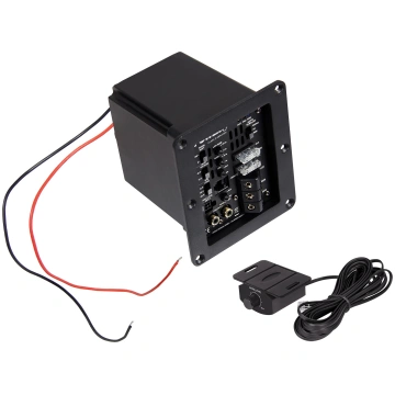 ESX Power2 power amplifier inside subwoofer box (m