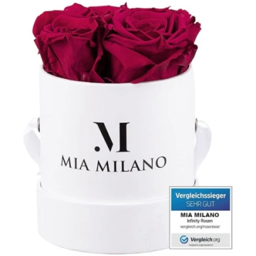 Mia Milano rožu kaste ar bezgalības rozēm, Valentī