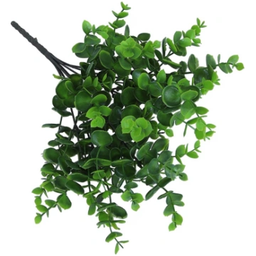Eikalipta pušķis H33cm