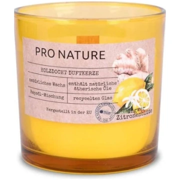 MULLER PRO NATURE rapšu vaska svece +/-40h, citron