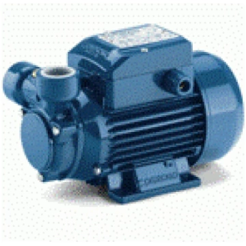PEDROLLO Sūknis PQm 60 0,37kW 230V 50Hz (110120)