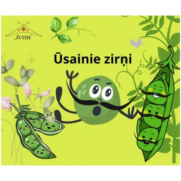 Ūsainie cukurzirņi