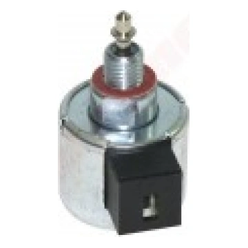 Solenoida vārsts B&S oriģināls Briggs & Stratton 8