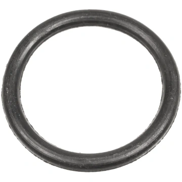 Blīvslēgs Cedrus o-ring pompa PS60-3 PS100-4