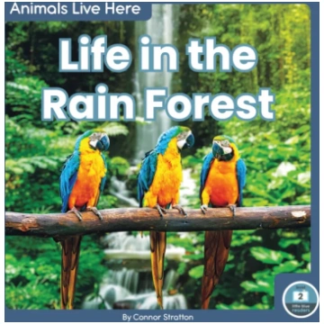 Life in the Rain Forest Connor Stratton