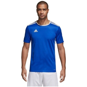 T-krekls vīriešiem Adidas Entrada 18 CF1037, zils