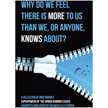 Why Do We Feel There is More to Us Than We, or Any