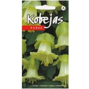 Kurzemes Sēklas Sēklas kobejas baltas 5s