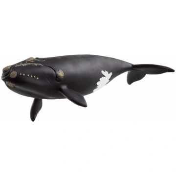 SCHLEICH WILD LIFE Ziemeļatlantijas gludais valis