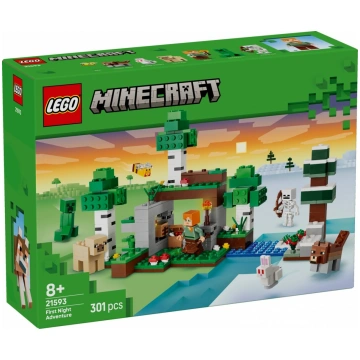 LEGO Blocks Minecraft 21593 First Night Adventure