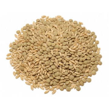 Zuppa di Orzo e Lenticchie Bio