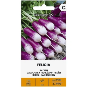 REDĪSI FELICIA Žalia stotelė