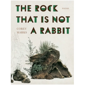 Rock That is Not a Rabbit Corey Marks