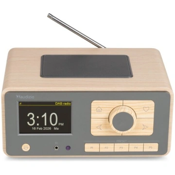 Dozza interneta radio ar DAB+ Bamboo Audizio