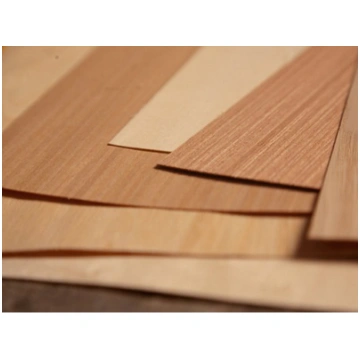 OZOLS RADIĀLS 0.6mm