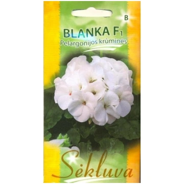 Pelargonija Blanka F1 sēklas 5gb Sēkluva