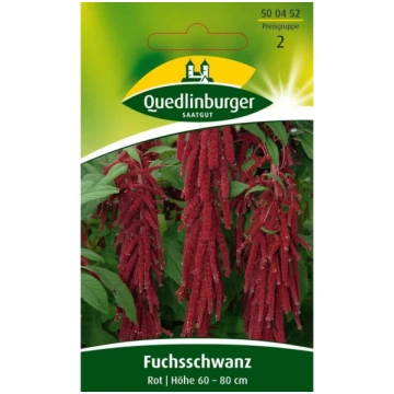 Foxtail, Red Quedlinburger