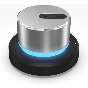 HumminGuru LUMI Record Stabilizer