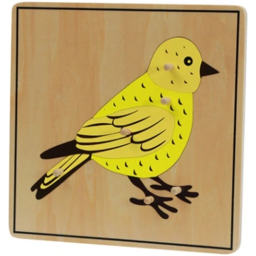 Putns, koka puze, Adena Montessori Premium B080