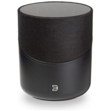 BLUESOUND PULSE M