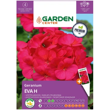 Sēklas Garden Center pelargonijas EVA H, 5 gab
