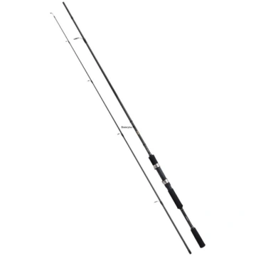 Shimano FX XT Spinning 2,40m 10-30g 2 EVA | FXXT24