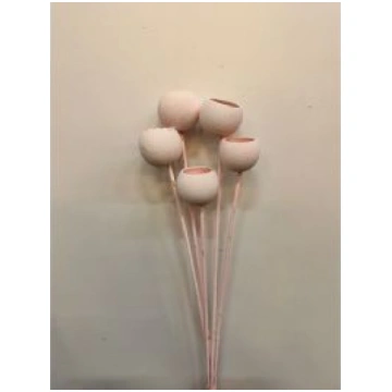 Kaltēti ziedi - Bell cup, BCOS5ROSAS