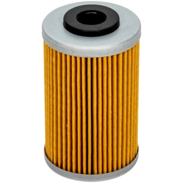 EĻĻAS FILTRS POLARIS 2520754