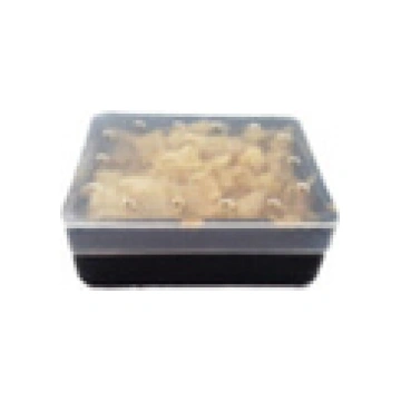 Dzīvā ēsma-mušu kāpuri Liwi 25g