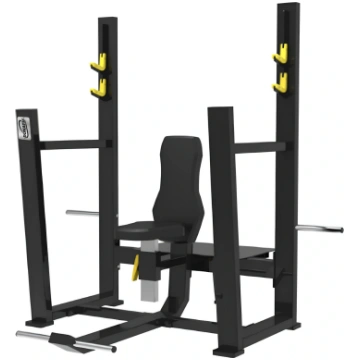 Olympic Seated Bench with Disc Holder | Profession