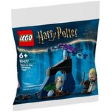 Lego 30677 - Harry Potter Draco In The Forbidden F