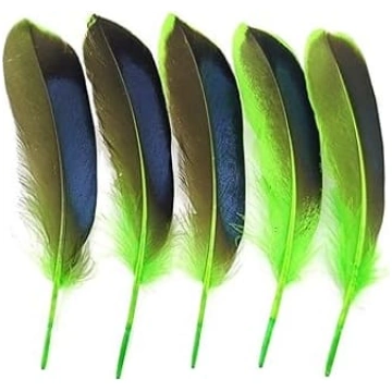 Wilde Hühnerfedern, 10-15 cm, Entenfedern, Schmuck