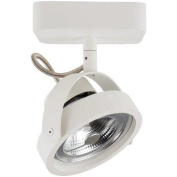 Balta LED griestu lampa Zuiver Dice