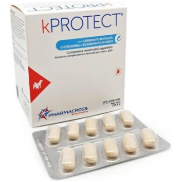 kPROTECT N10 (10/120) Pharmacross