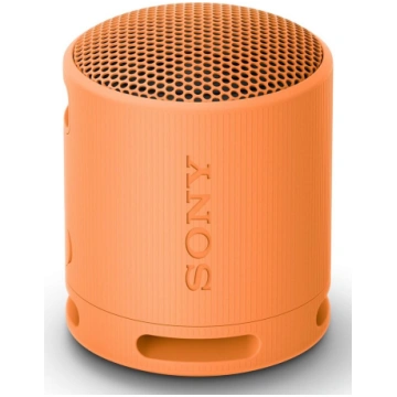 Sony SRS-XB100 - Wireless Bluetooth Portable Speak