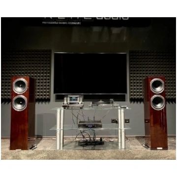 Fyne Audio F-502SP x McIntosh MA252